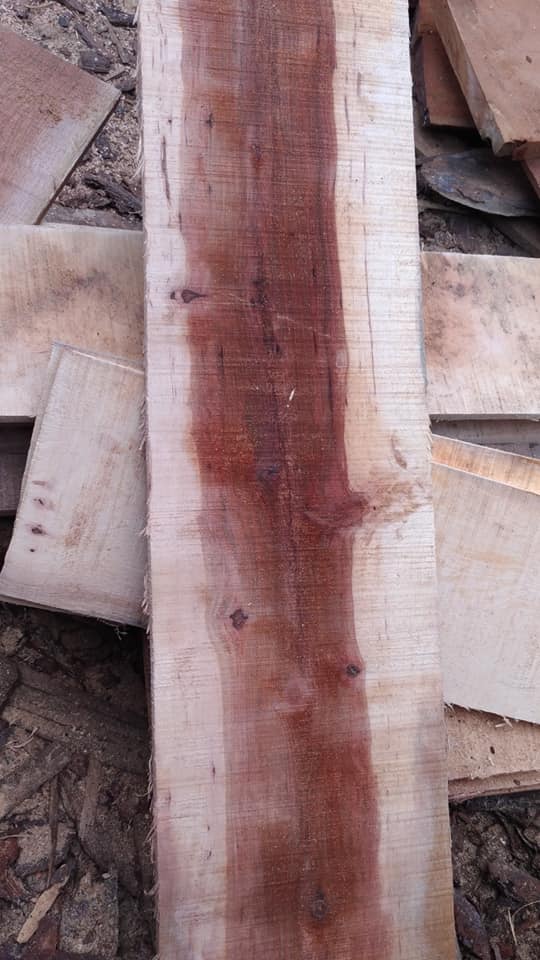 Gỗ Hồ Đào (Hickory)